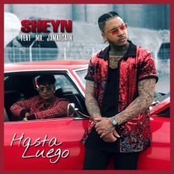 Sheyn feat mr jamaicain hasta luego cover